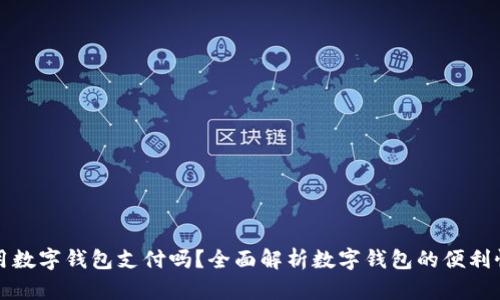超市能用数字钱包支付吗？全面解析数字钱包的便利性与应用
