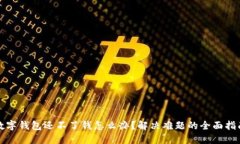 数字钱包还不了钱怎么办？解决难题的全面指南