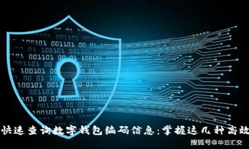 如何快速查询数字钱包编码信息：掌握这几种高效方法