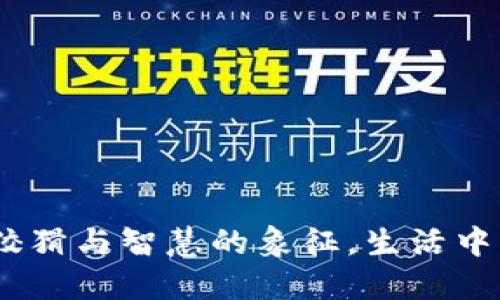 小狐钱包：狡猾与智慧的象征，生活中的信心之伴