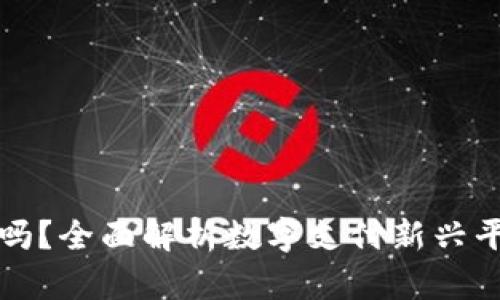 国内小狐钱包合法吗？全面解析数字支付新兴平台的合规性与风险