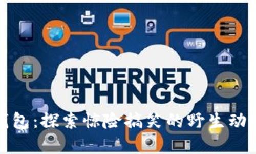 狐狸抢走钱包：探索惊险搞笑的野生动物城市生活