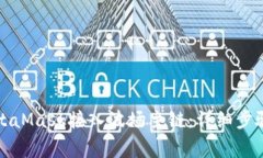 如何使用MetaMask接入波场主