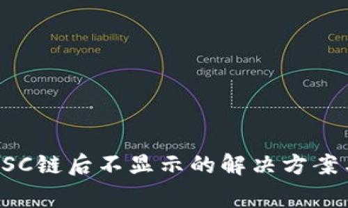 小狐钱包导入BSC链后不显示的解决方案与常见问题解析