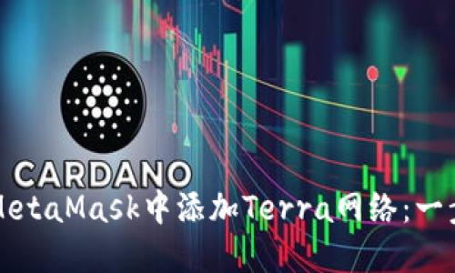 如何在MetaMask中添加Terra网络：一步步指南