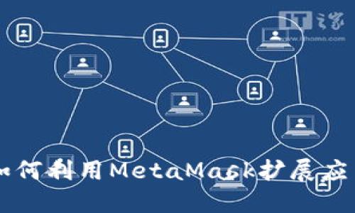 深入探索MetaMask开发：如何利用MetaMask扩展应用及其在区块链中的重要性
