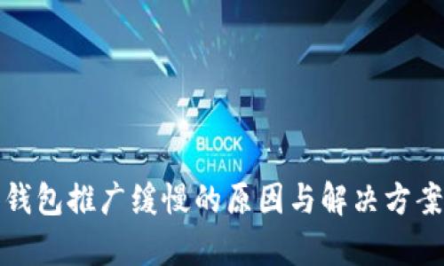 数字钱包推广缓慢的原因与解决方案分析
