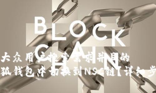 思考一个符合大众用户搜索需求并且的  
code如何在小狐钱包中切换到NSC链？详细步骤和注意事项