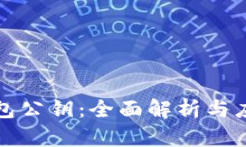 小狐钱包公钥：全面解析与应用指南