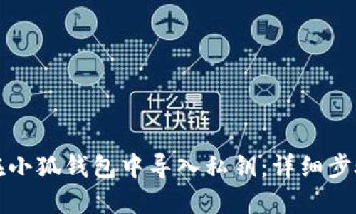 如何在小狐钱包中导入私钥：详细步骤指南