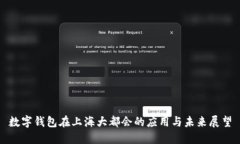 数字钱包在上海大都会的应用与未来展望