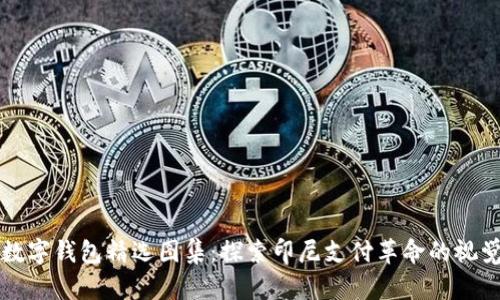印尼数字钱包精选图集：探索印尼支付革命的视觉盛宴