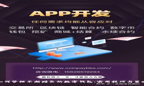 如何管理不断增长的数字钱包：实用技巧与策略