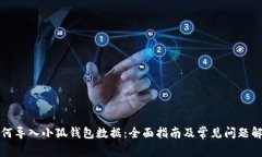 如何导入小狐钱包数据：全面指南及常见问题解