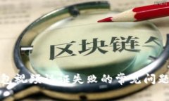 解决数字钱包视频认证失败的常见问题与应对策