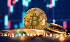 手机版小狐钱包如何翻译成中文：详细教程与常