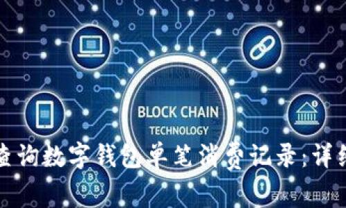 如何查询数字钱包单笔消费记录：详细指南