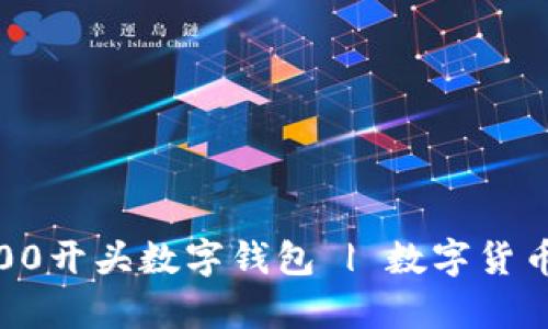 如何选择合适的00开头数字钱包 | 数字货币存储与管理指南