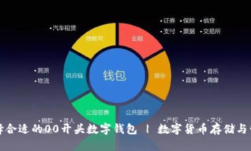 如何选择合适的00开头数字钱包 | 数字货币存储与管理指南