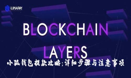 小狐钱包提款攻略：详细步骤与注意事项