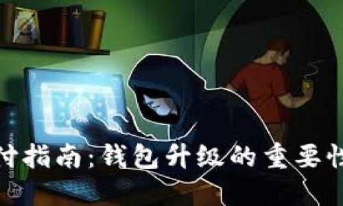 数字货币支付指南：钱包升级的重要性与操作步骤