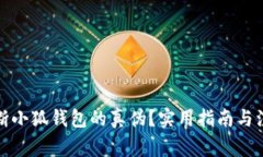 如何判断小狐钱包的真伪？实用指南与注意事项