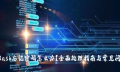MetaMask忘记密码怎么办？全面处理指南与常见问题