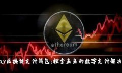 21pay区块链支付钱包：探索未来的数字支付解决方