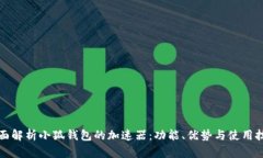 全面解析小狐钱包的加速器：功能、优势与使用