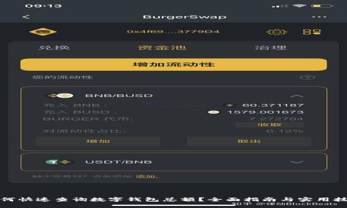 如何快速查询数字钱包总额？全面指南与实用技巧