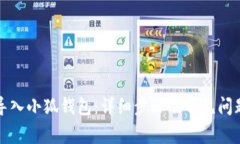 如何导入小狐钱包：详细步骤及常见问题解析