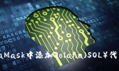 如何在MetaMask中添加Solan