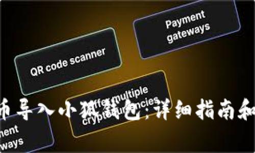 如何将DAI代币导入小狐钱包：详细指南和常见问题解答