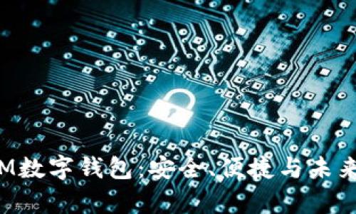 全面解析YSM数字钱包：安全、便捷与未来趋势的结合