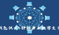 上海数字钱包试点：引领未来数字支付的新风潮