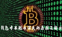 小狐钱包中本聪币消失的原因及解决方案