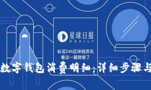 如何查找数字钱包消费明细：详细步骤与实用指南