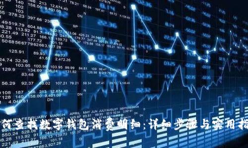 如何查找数字钱包消费明细：详细步骤与实用指南