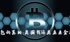 区块链钱包的真相：是圈钱还是未来金融的希望