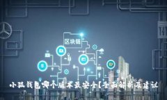 小狐钱包哪个版本最安全？全面解析及建议