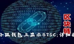 如何在小狐钱包上显示BTSC：详细操作指南