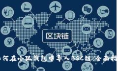 如何在小狐钱包中导入BSC链：全面指南