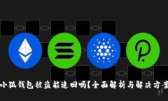 小狐钱包被盗能追回吗？全面解析与解决方案