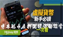 小狐钱包对中本聪币质押流程详解及常见问题解