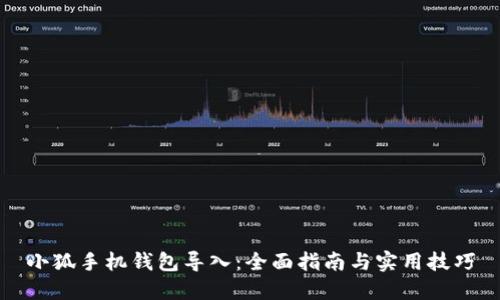 小狐手机钱包导入：全面指南与实用技巧
