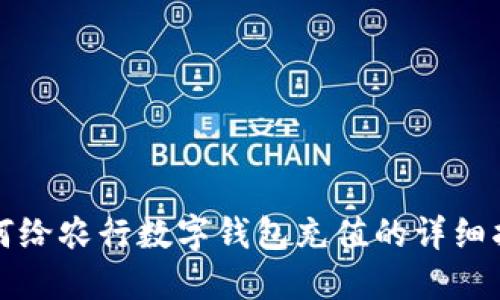 如何给农行数字钱包充值的详细指南