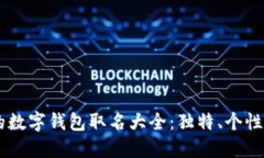 男人专属的数字钱包取名大全：独特、个性与安