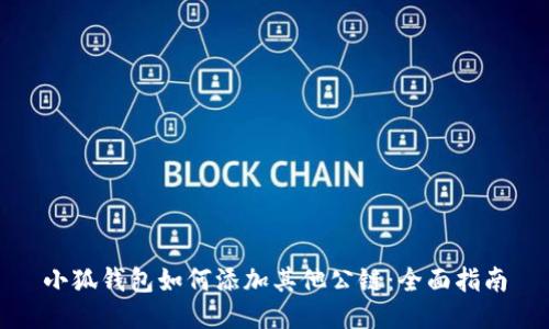 小狐钱包如何添加其他公链：全面指南