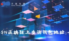如何在BSN区块链上查询钱