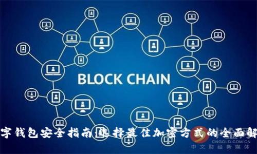 数字钱包安全指南：选择最佳加密方式的全面解析